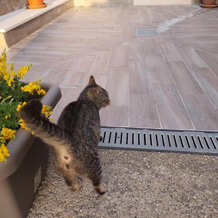 B&B Villa La Ginestra Boscoreale Bagian luar foto